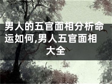 男人的五官面相分析命运如何,男人五官面相大全