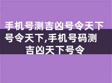 手机号测吉凶号令天下号令天下,手机号码测吉凶天下号令