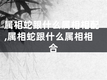 属相蛇跟什么属相相配,属相蛇跟什么属相相合