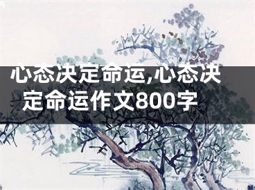 心态决定命运,心态决定命运作文800字