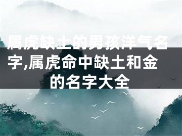属虎缺土的男孩洋气名字,属虎命中缺土和金的名字大全