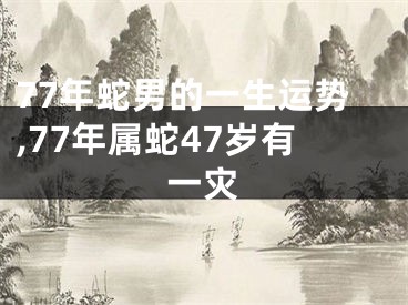 77年蛇男的一生运势,77年属蛇47岁有一灾