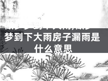 做梦梦到下大雨,做梦梦到下大雨房子漏雨是什么意思