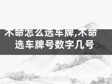 木命怎么选车牌,木命选车牌号数字几号