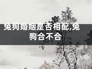 兔狗婚姻是否相配,兔狗合不合