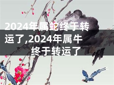 2024年属蛇终于转运了,2024年属牛终于转运了