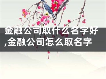 金融公司取什么名字好,金融公司怎么取名字