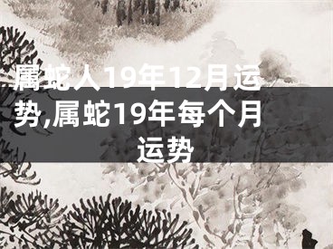 属蛇人19年12月运势,属蛇19年每个月运势