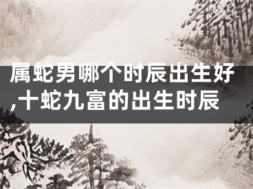 属蛇男哪个时辰出生好,十蛇九富的出生时辰