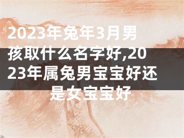 2023年兔年3月男孩取什么名字好,2023年属兔男宝宝好还是女宝宝好