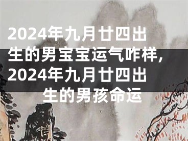 2024年九月廿四出生的男宝宝运气咋样,2024年九月廿四出生的男孩命运