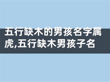 五行缺木的男孩名字属虎,五行缺木男孩子名