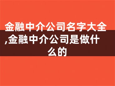 金融中介公司名字大全,金融中介公司是做什么的