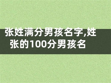 张姓满分男孩名字,姓张的100分男孩名