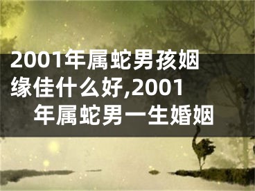 2001年属蛇男孩姻缘佳什么好,2001年属蛇男一生婚姻
