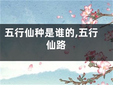 五行仙种是谁的,五行仙路