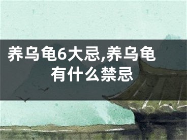 养乌龟6大忌,养乌龟有什么禁忌