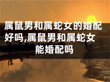 属鼠男和属蛇女的婚配好吗,属鼠男和属蛇女能婚配吗