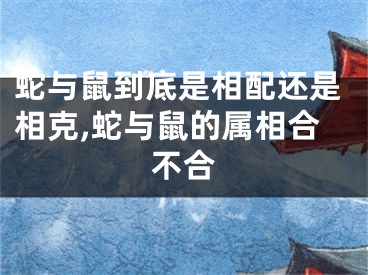 蛇与鼠到底是相配还是相克,蛇与鼠的属相合不合