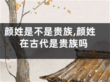 颜姓是不是贵族,颜姓在古代是贵族吗