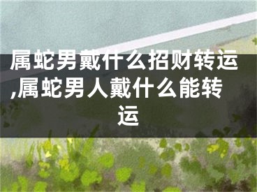 属蛇男戴什么招财转运,属蛇男人戴什么能转运