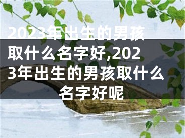 2023年出生的男孩取什么名字好,2023年出生的男孩取什么名字好呢
