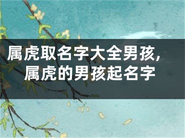 属虎取名字大全男孩,属虎的男孩起名字