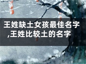 王姓缺土女孩最佳名字,王姓比较土的名字