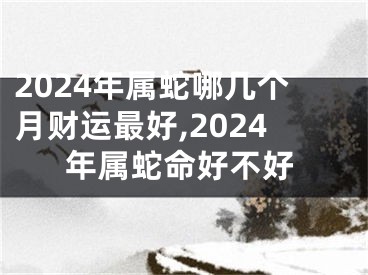 2024年属蛇哪几个月财运最好,2024年属蛇命好不好