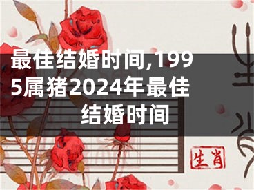 最佳结婚时间,1995属猪2024年最佳结婚时间