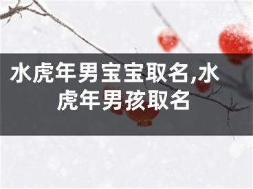 水虎年男宝宝取名,水虎年男孩取名