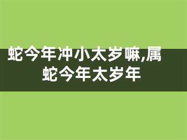 蛇今年冲小太岁嘛,属蛇今年太岁年
