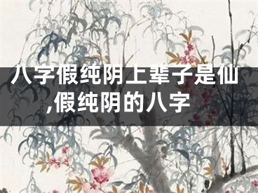 八字假纯阴上辈子是仙,假纯阴的八字