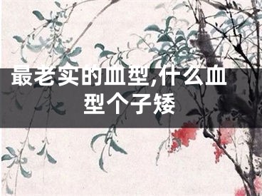 最老实的血型,什么血型个子矮