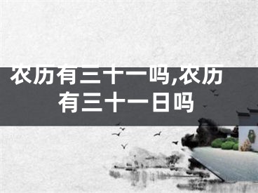 农历有三十一吗,农历有三十一日吗
