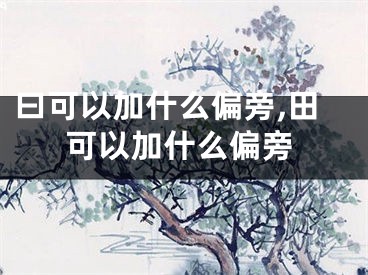 曰可以加什么偏旁,田可以加什么偏旁