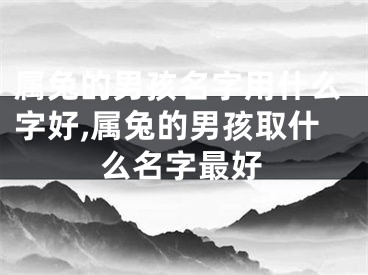 属兔的男孩名字用什么字好,属兔的男孩取什么名字最好