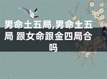 男命土五局,男命土五局 跟女命跟金四局合吗