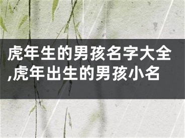 虎年生的男孩名字大全,虎年出生的男孩小名