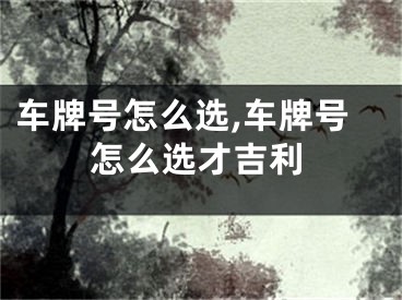 车牌号怎么选,车牌号怎么选才吉利