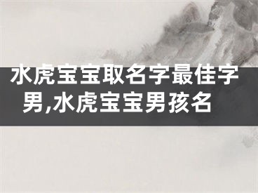 水虎宝宝取名字最佳字男,水虎宝宝男孩名