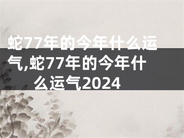 蛇77年的今年什么运气,蛇77年的今年什么运气2024