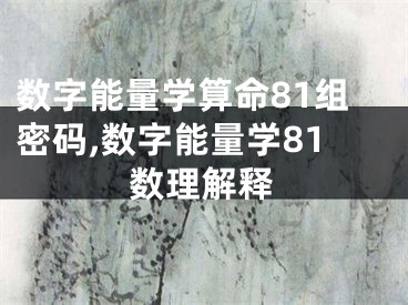 数字能量学算命81组密码,数字能量学81数理解释