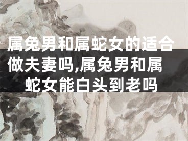 属兔男和属蛇女的适合做夫妻吗,属兔男和属蛇女能白头到老吗