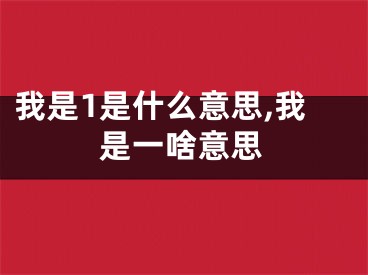 我是1是什么意思,我是一啥意思
