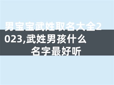 男宝宝武姓取名大全2023,武姓男孩什么名字最好听