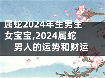 属蛇2024年生男生女宝宝,2024属蛇男人的运势和财运