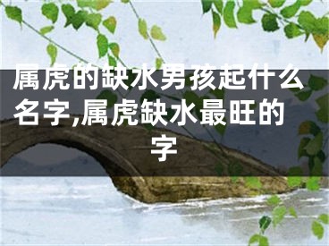 属虎的缺水男孩起什么名字,属虎缺水最旺的字