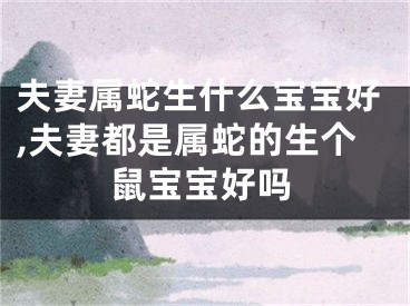 夫妻属蛇生什么宝宝好,夫妻都是属蛇的生个鼠宝宝好吗