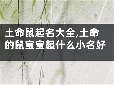 土命鼠起名大全,土命的鼠宝宝起什么小名好